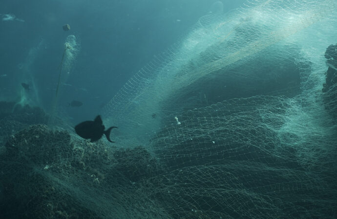 Día Mundial de los Océanos