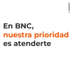 BNC - 300x300