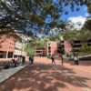 UNIMET lanza Diplomado en Relaciones Públicas e Influencia
